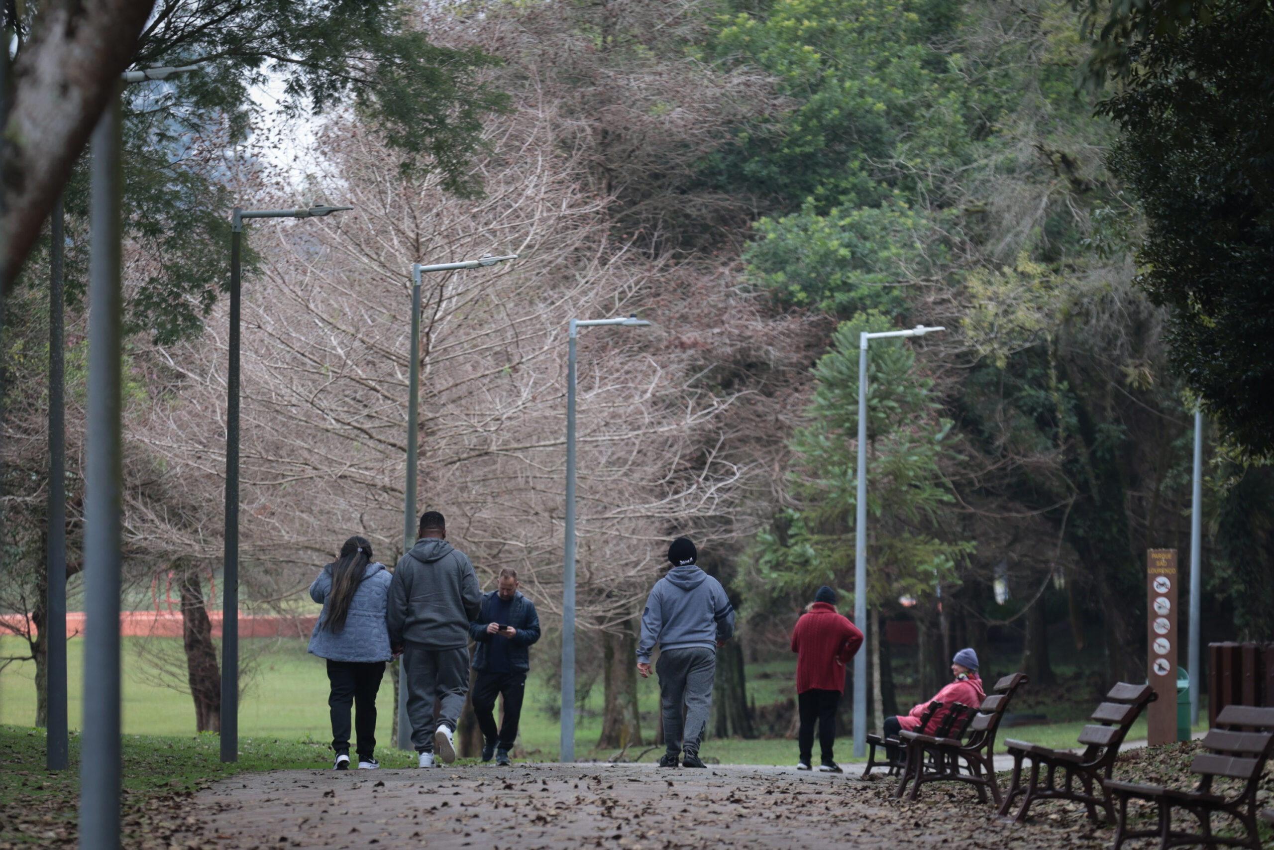 83 horas abaixo de 10°C: Curitiba chegou perto do frio recorde de 2013 nesta semana