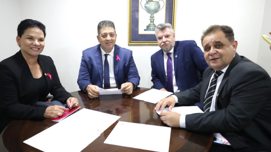 Comissão da Pessoa Idosa apresenta balanço do 1º semestre de 2025