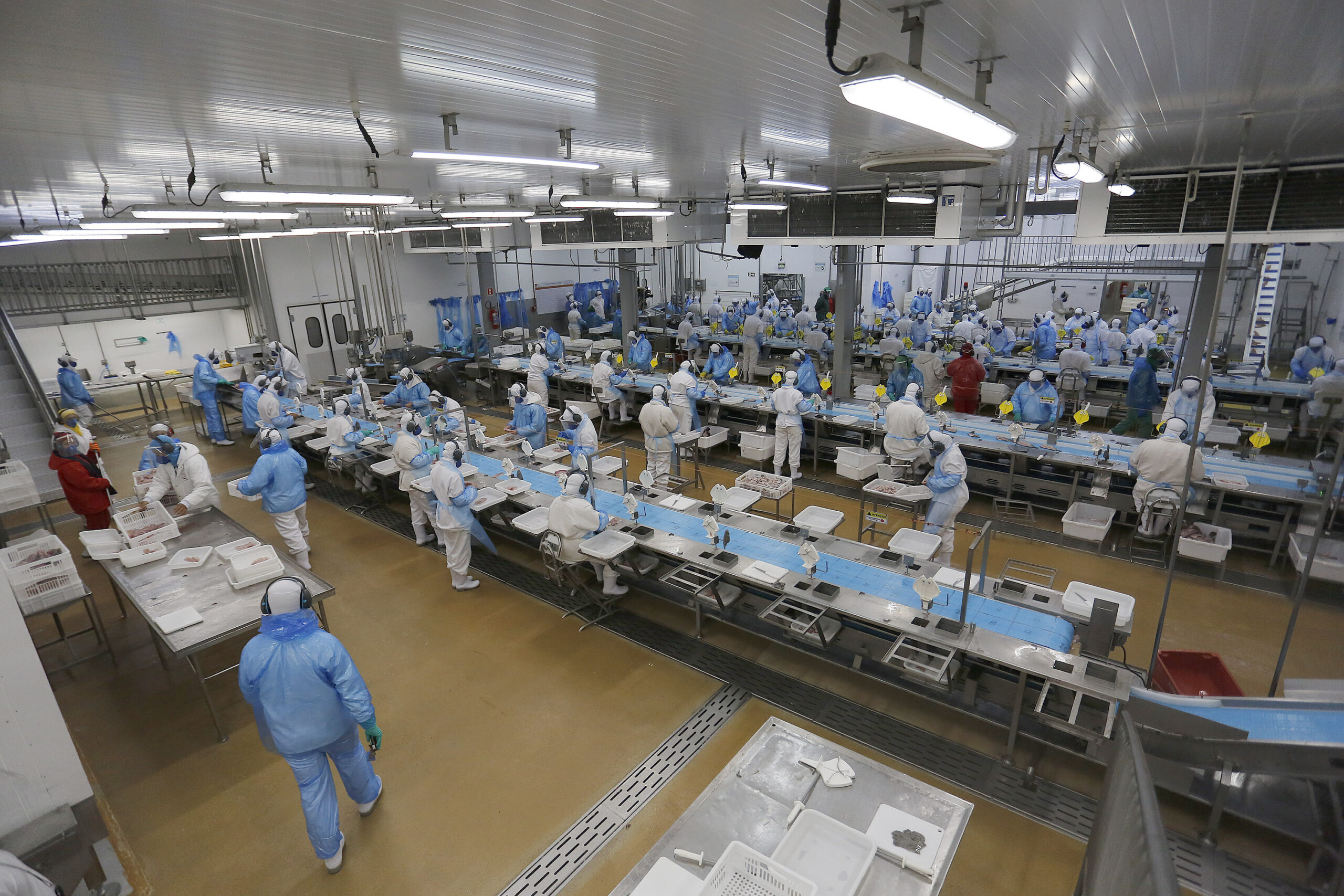 Recorde do ano: Agências do Trabalhador disponibilizam mais de 25 mil vagas de emprego