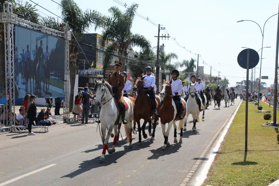 Desfile da Independência em Pinhais terá mais grupos de cavalaria, fanfarras e veículos antigos