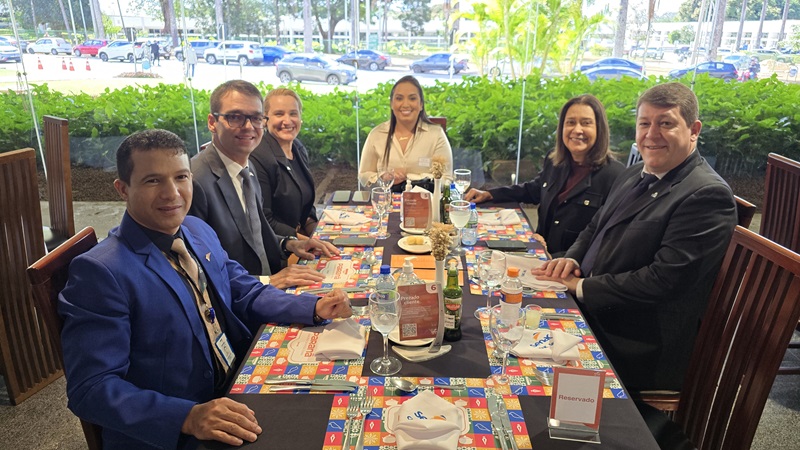 Rascunho automático