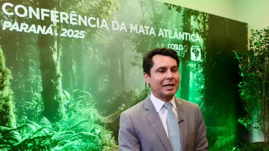 Rascunho automático