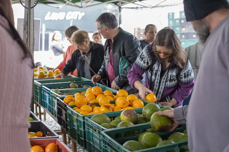 De livres a gastronômicas, Centro de Curitiba tem feira de segunda a segunda
