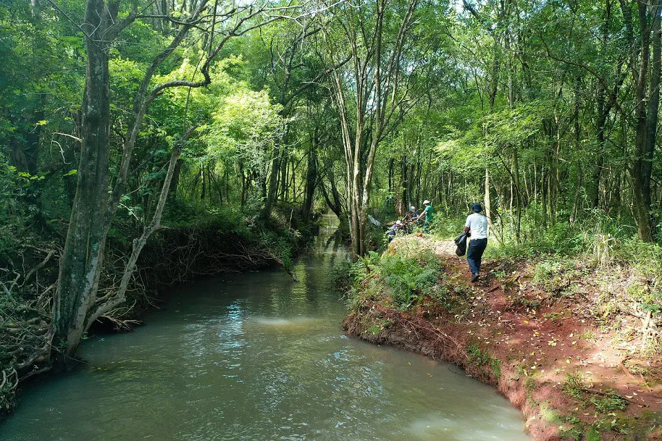 Dia Mundial da Limpeza de Rios: Sanepar atua em várias frentes para garantir preservação
