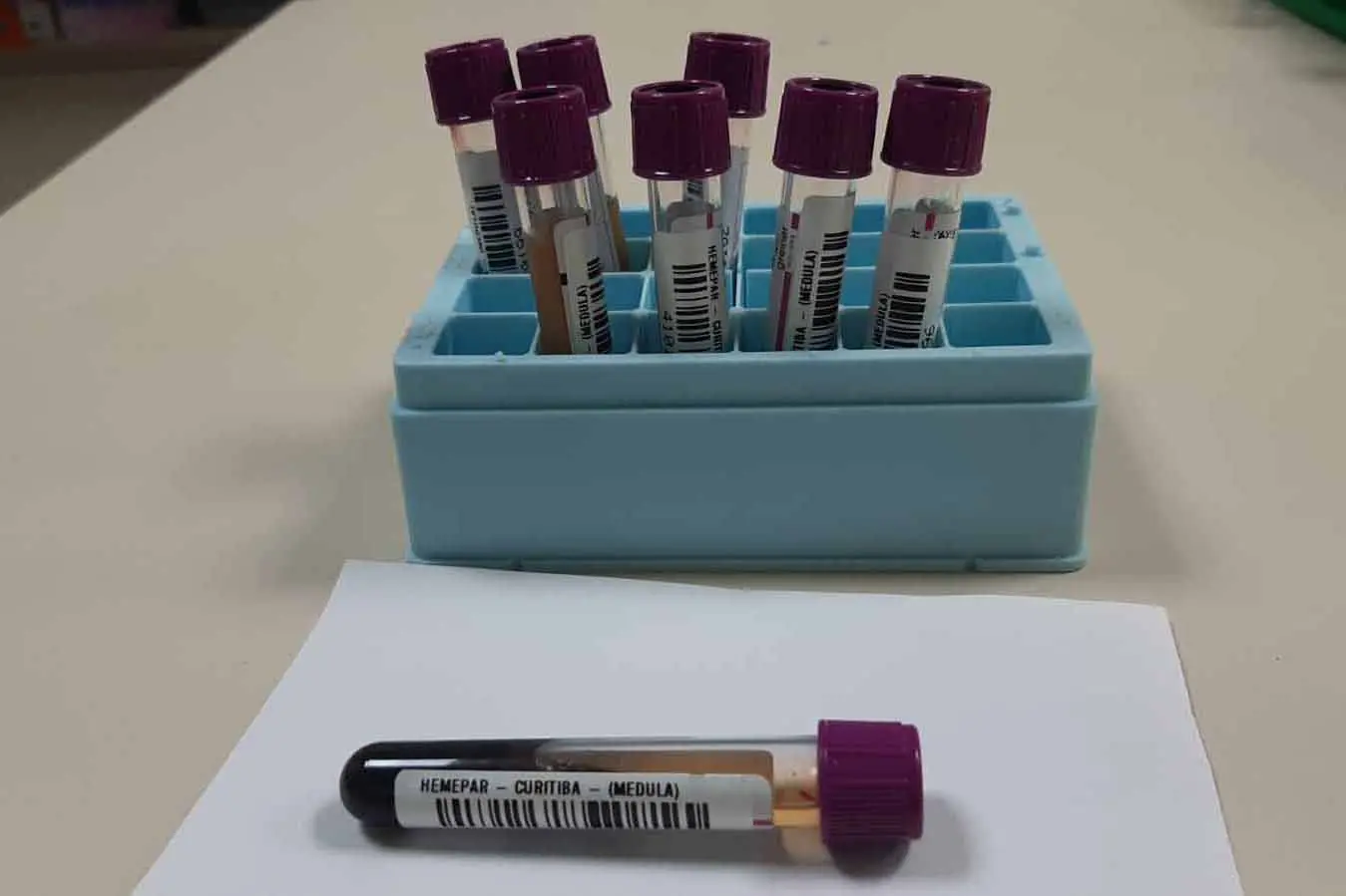 Dia Mundial do Doador de Medula Óssea: Saúde destaca atitude que salva vidas