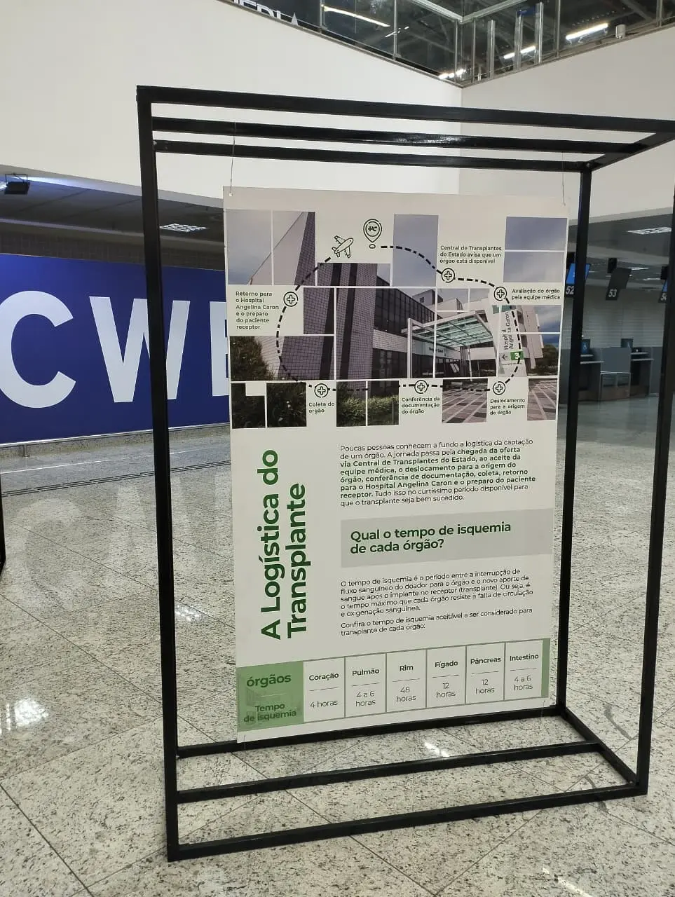 Hospital Angelina Caron transforma histórias de transplantes em exposição sobre doação de órgãos no Afonso Pena