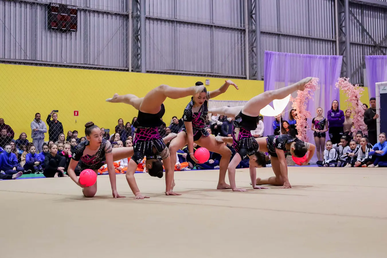 Sanepar apoia equipe de ginástica rítmica que vai disputar a Copa Sul-Americana