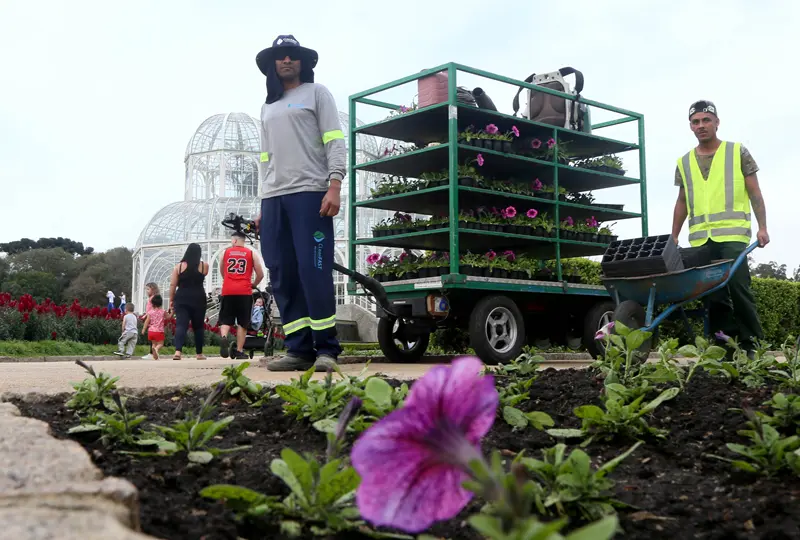 Troca de flores prepara o Jardim Botânico para a primavera. Saiba quais espécies vão colorir suas fotos