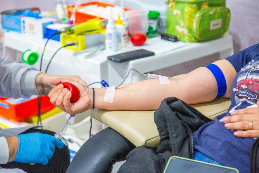 Rascunho automático