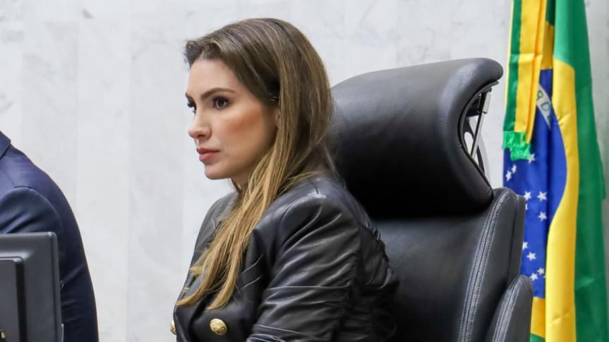 Conselho de Ações Sociais e Voluntariado da Assembleia Legislativa arrecada itens para famílias atingidas pelo temporal