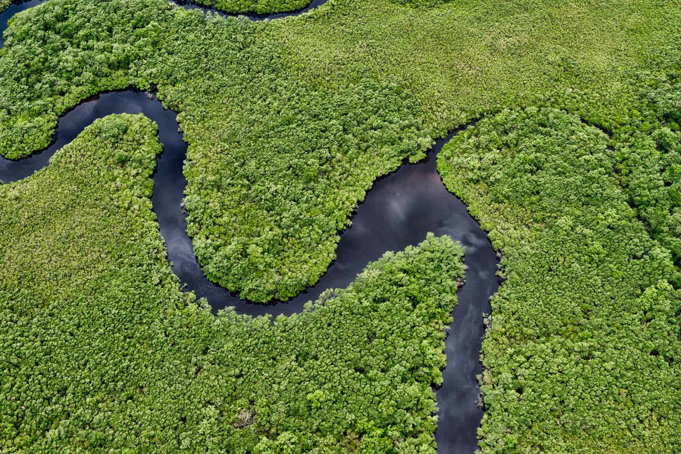 Com tecnologia e fiscalização, Paraná reduz desmatamento de maneira consistente