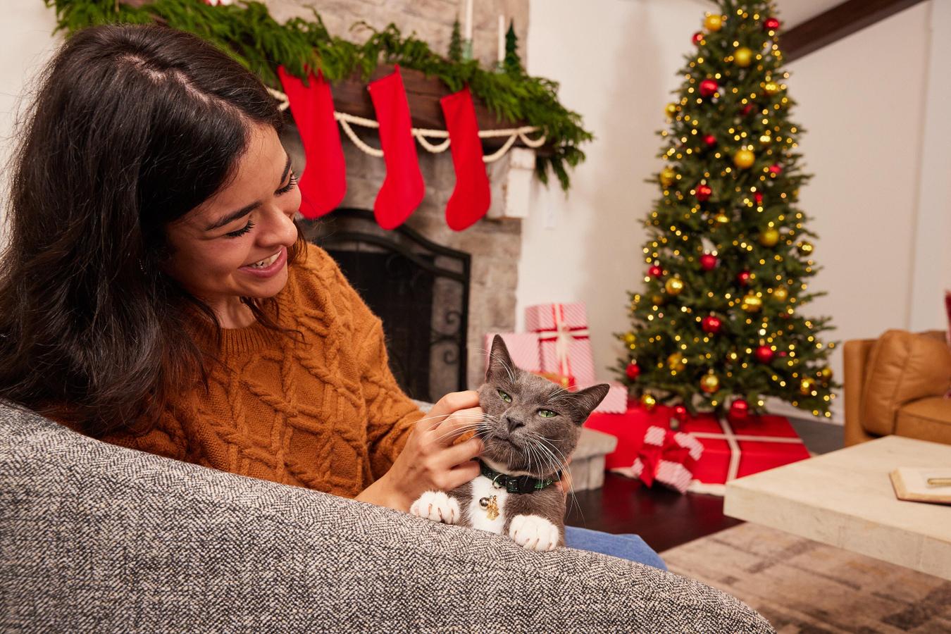 Pet não é presente: a importância da guarda responsável de gatos e cães