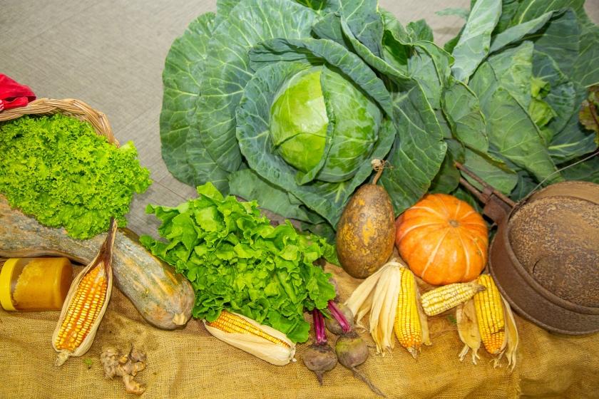 Plano Municipal de Segurança Alimentar e Nutricional de Piraquara 2025 - 2028