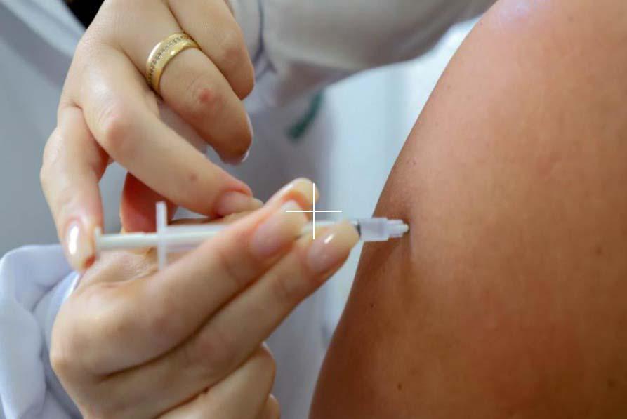 Rascunho automático