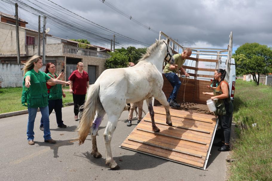 Rascunho automático