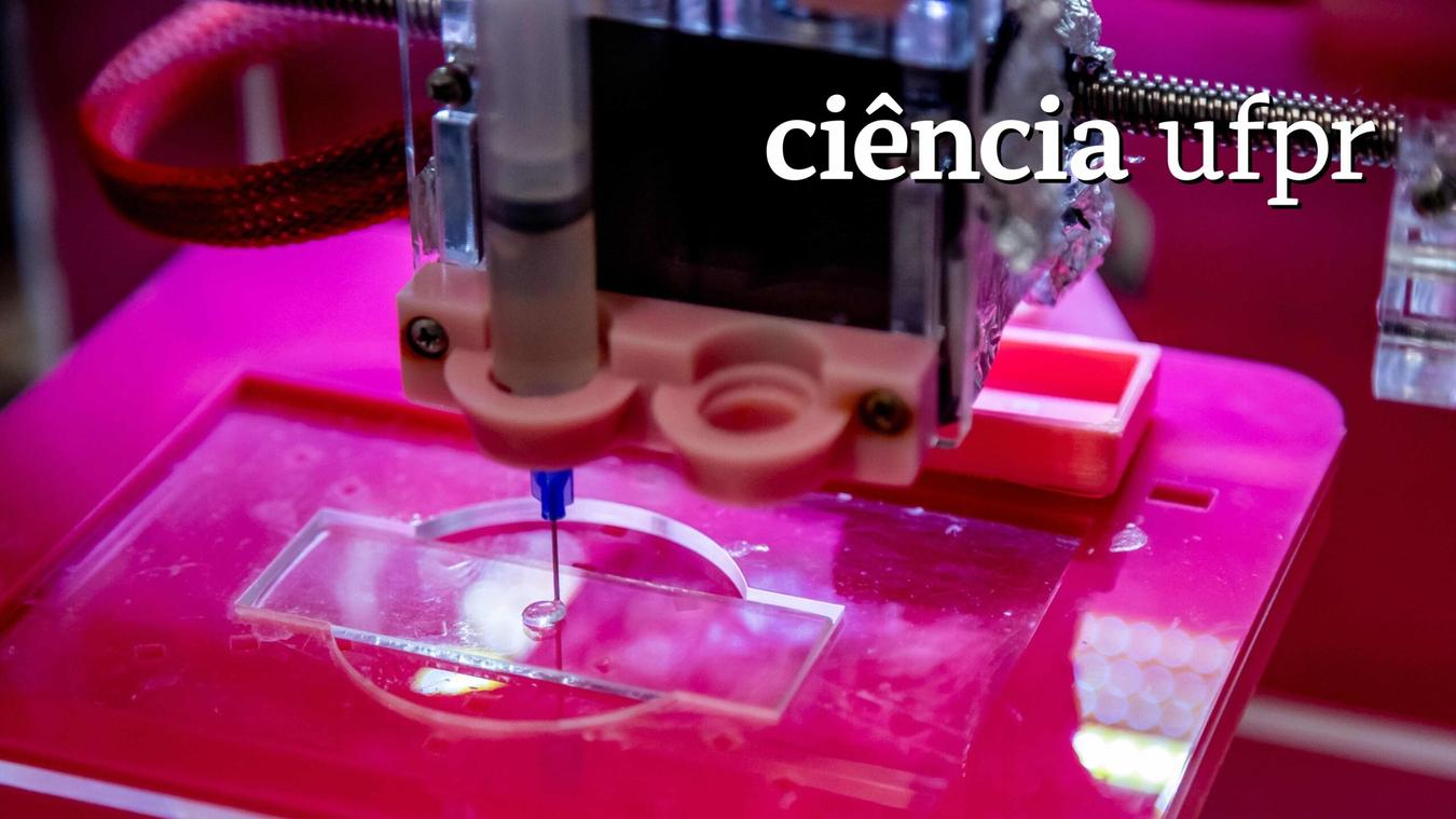 Rascunho automático