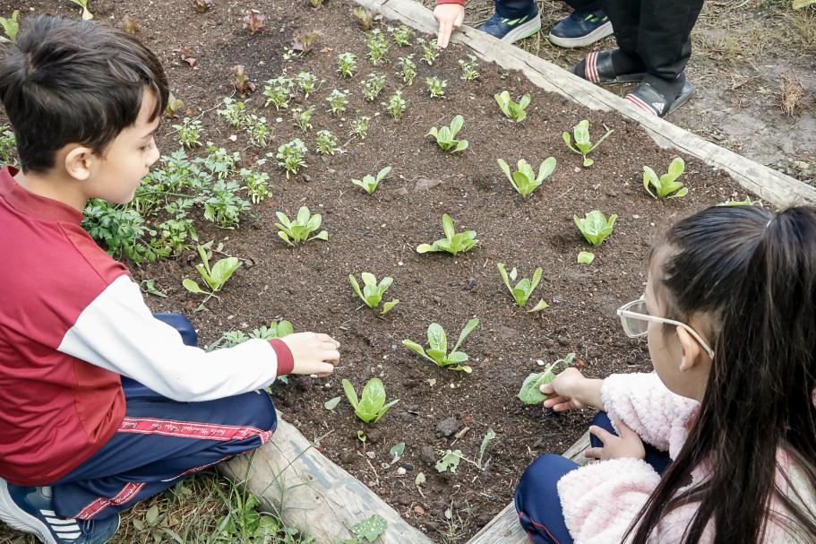 Rascunho automático