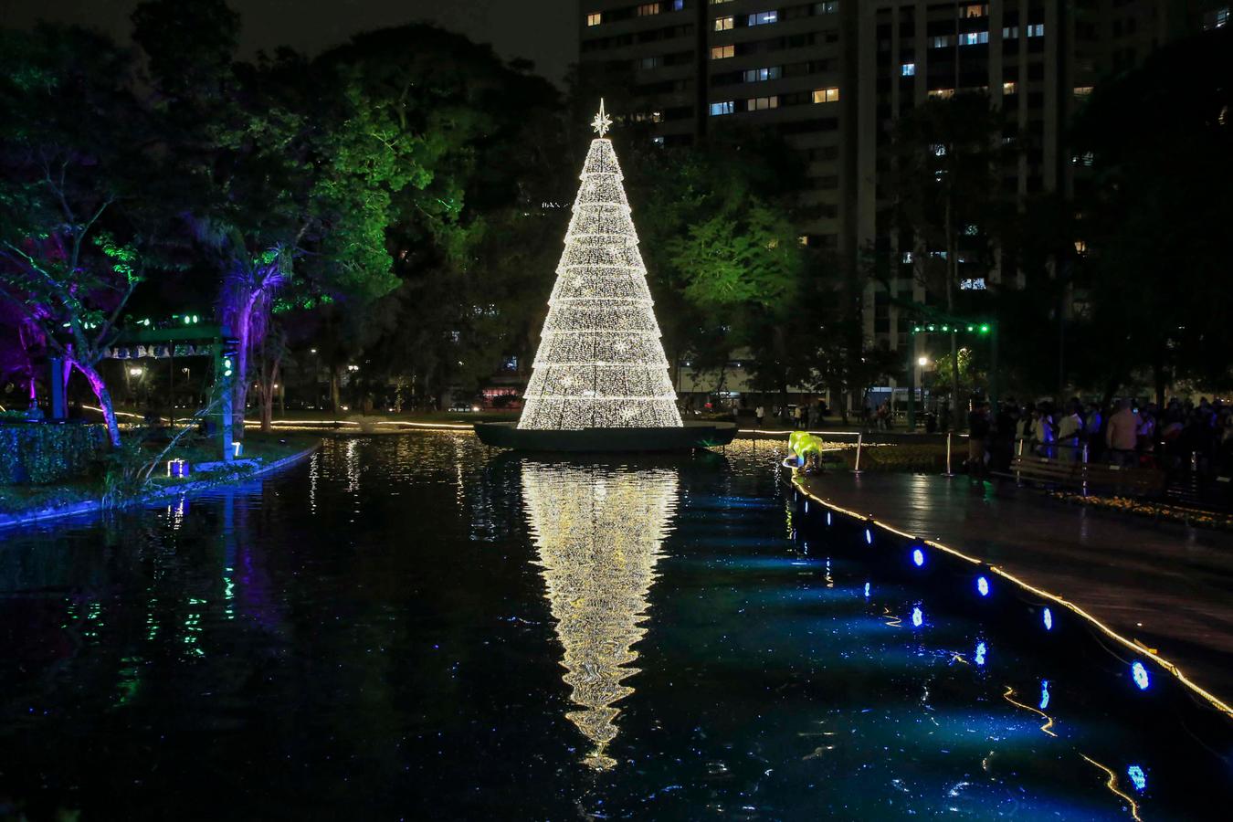 Roteiro iluminado: saiba onde ver as árvores do Natal de Curitiba até o dia 6 de janeiro