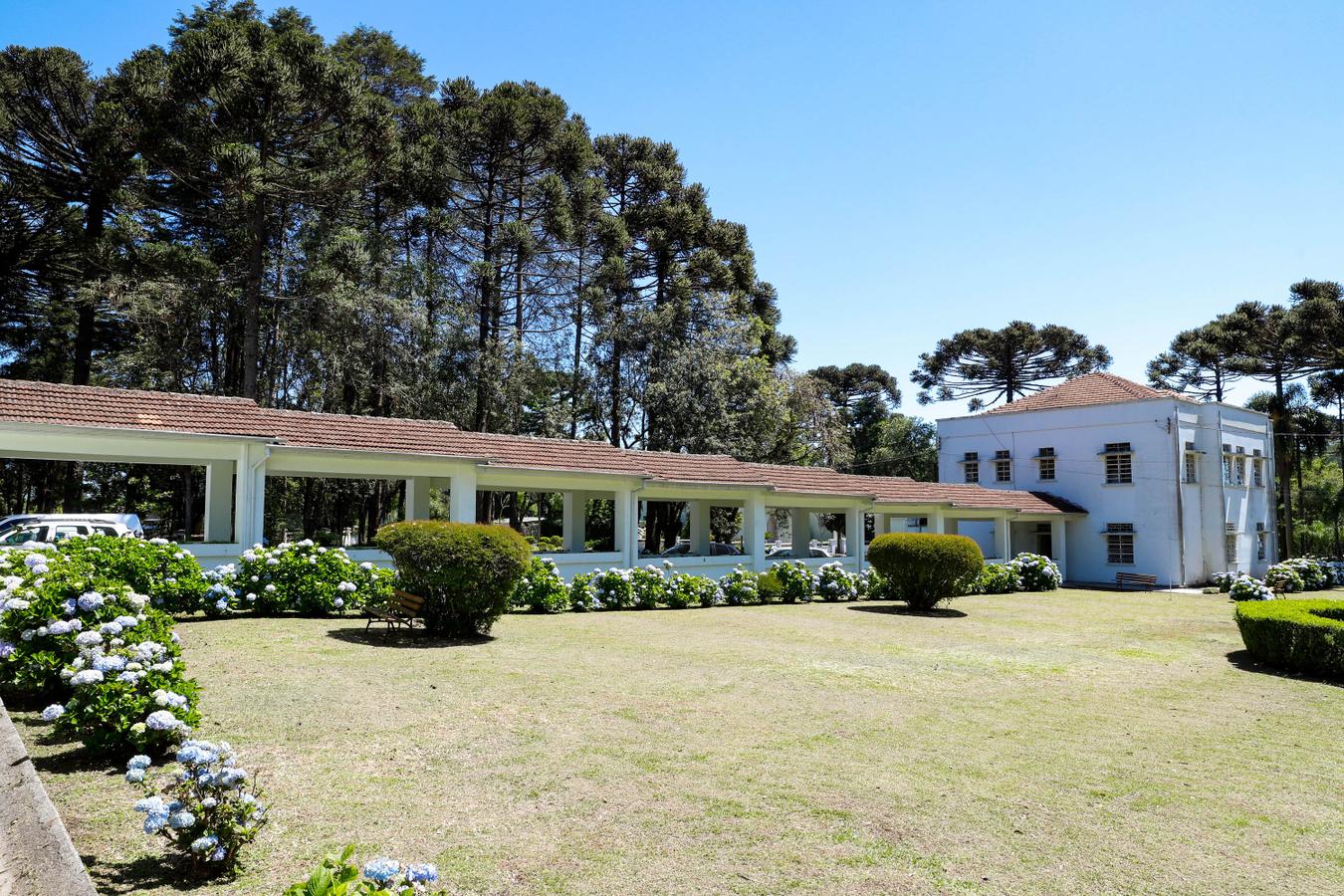 100 anos: Hospital de Dermatologia do Paraná é referência em atendimento, ensino e pesquisa