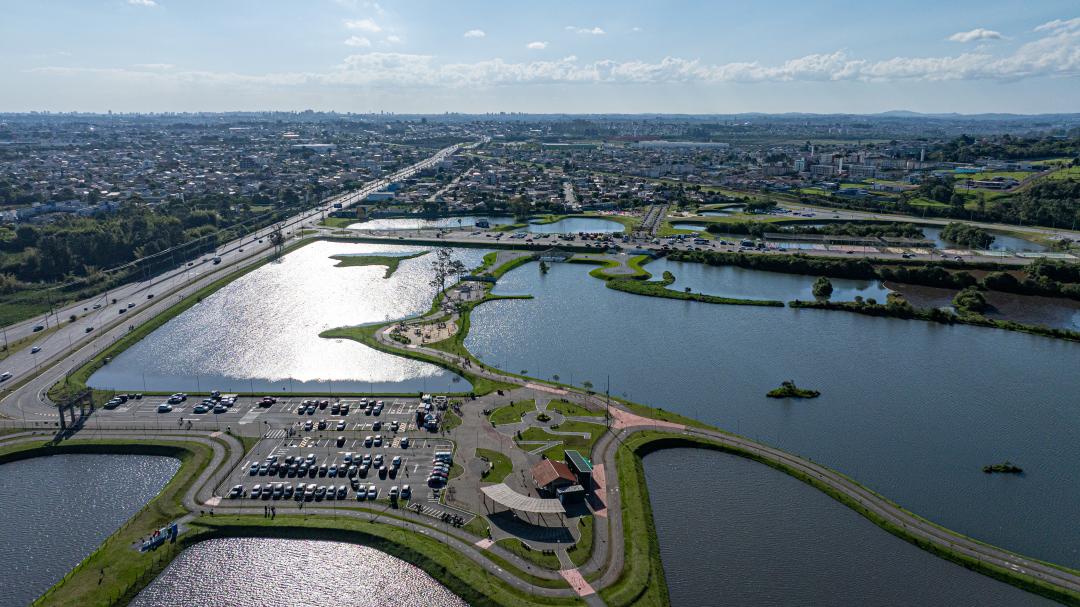 Rascunho automático