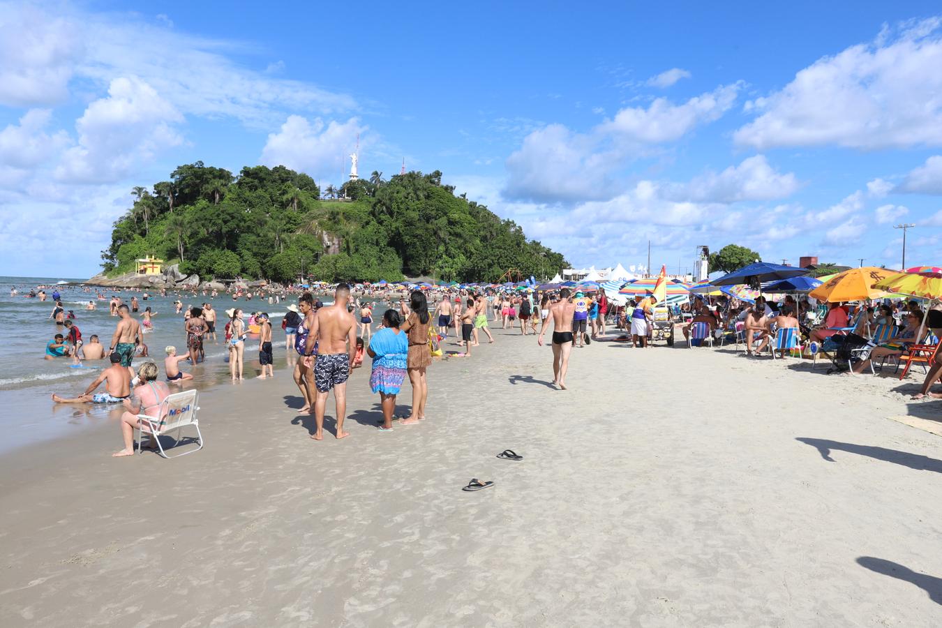 Rascunho automático