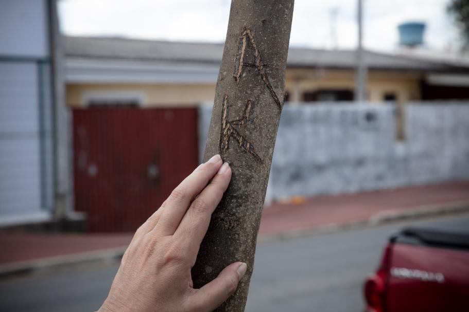 Rascunho automático