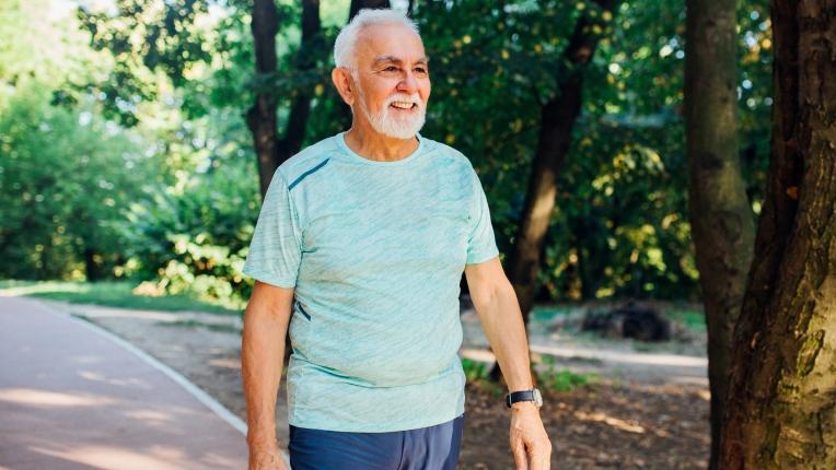 Rascunho automático