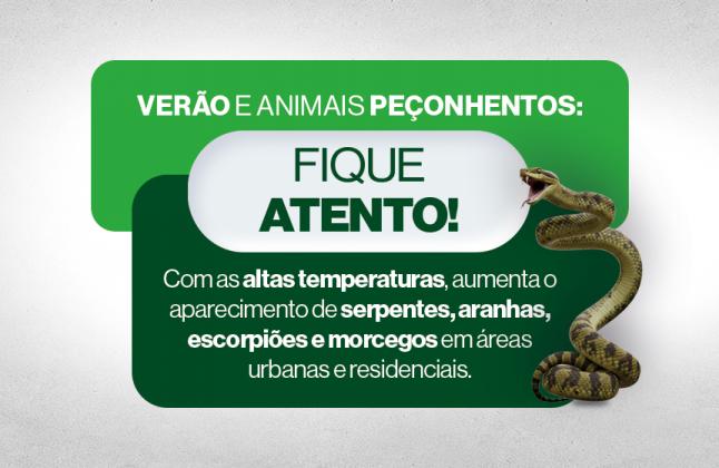 Rascunho automático