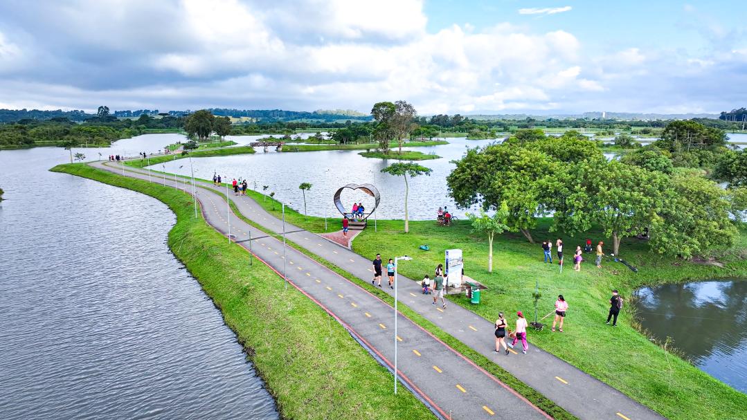 Rascunho automático