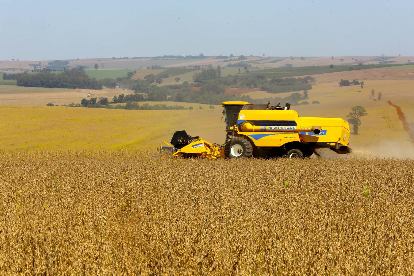 Safra de Soja do Paraná se aproxima do recorde e novo boletim reforça otimismo