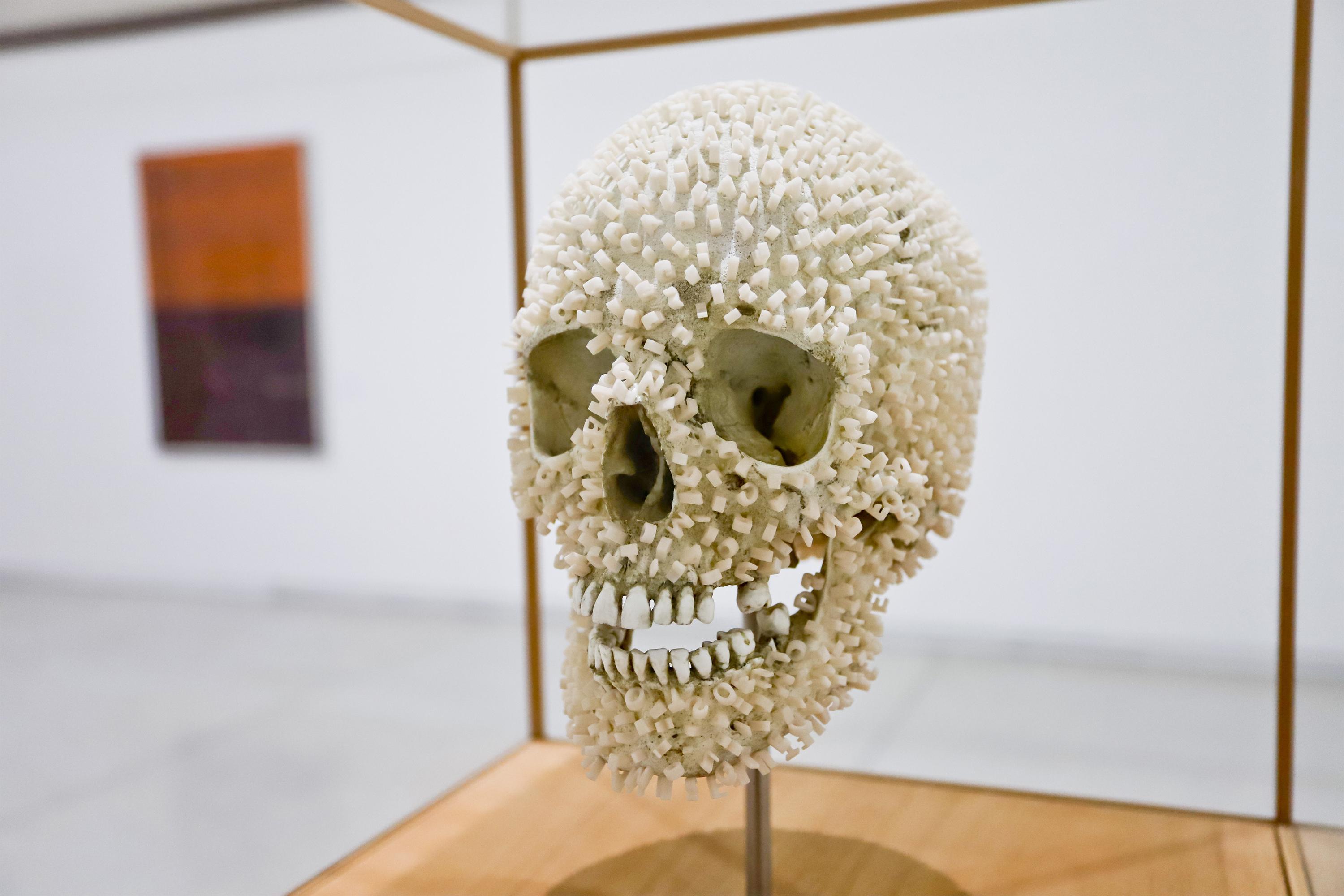 Ainda dá tempo: três exposições deixam catálogo do MON no domingo