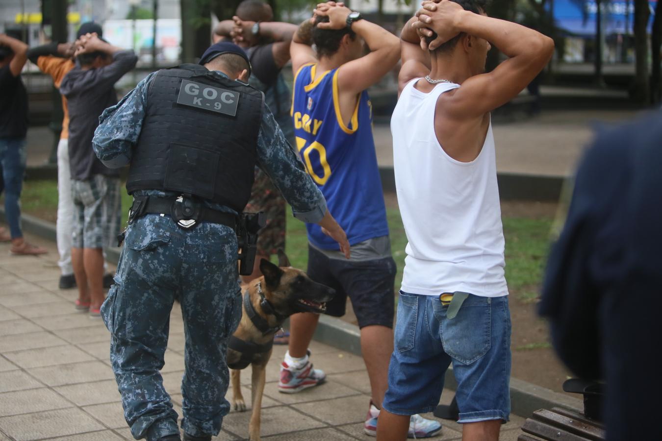 Consórcio de 11 Guardas Municipais fortalece a segurança na Região Metropolitana de Curitiba