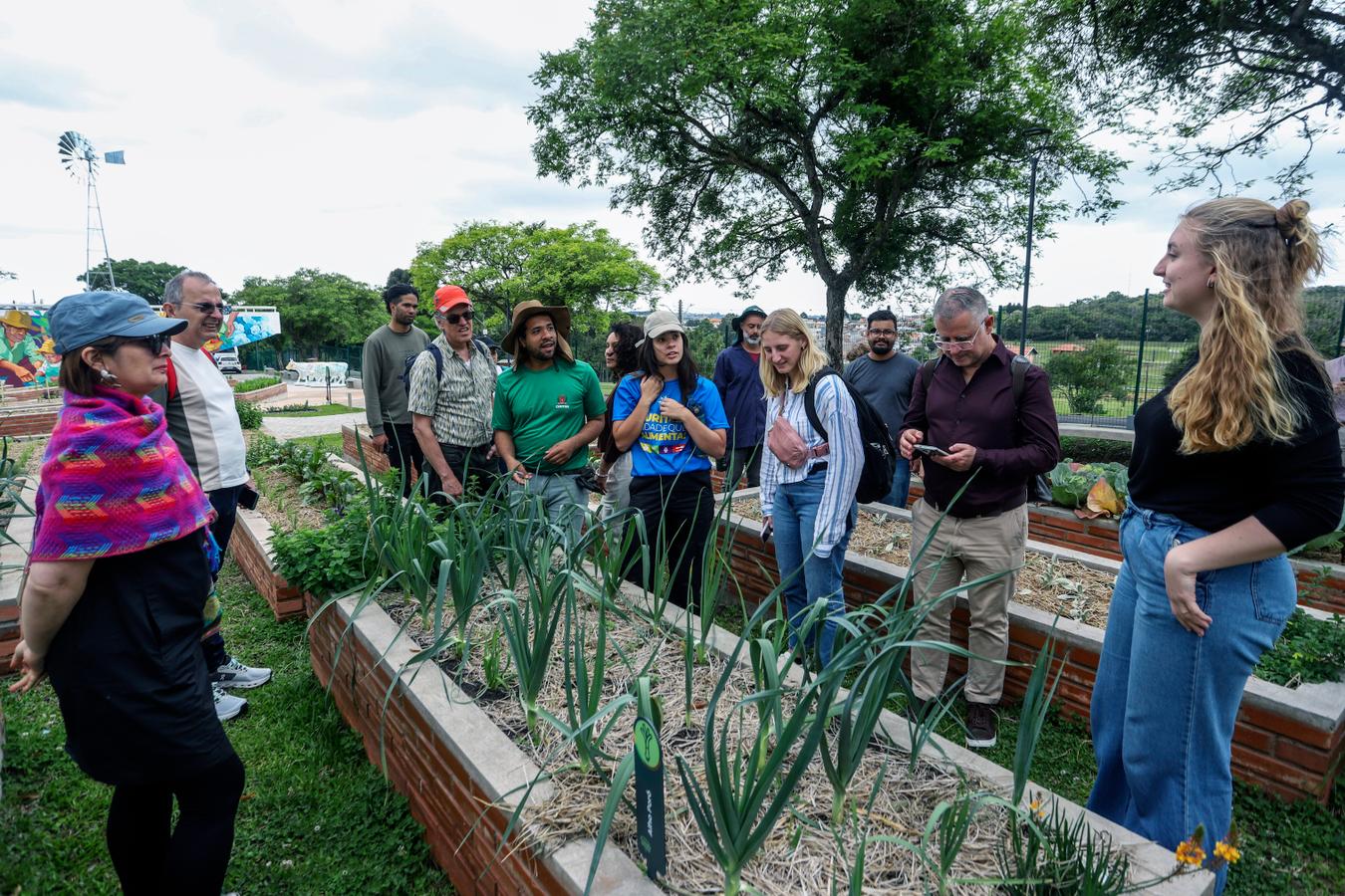 Fazendas Urbanas do Cajuru e da CIC ensinam tudo sobre plantio e colheita