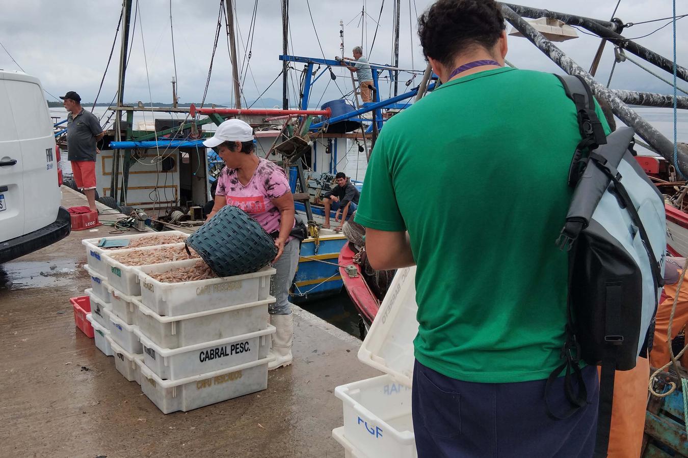 Pescadores da Baía de Guaratuba mantiveram trabalho intenso ao longo da construção da ponte