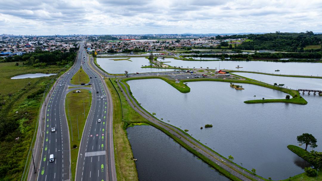 Rascunho automático