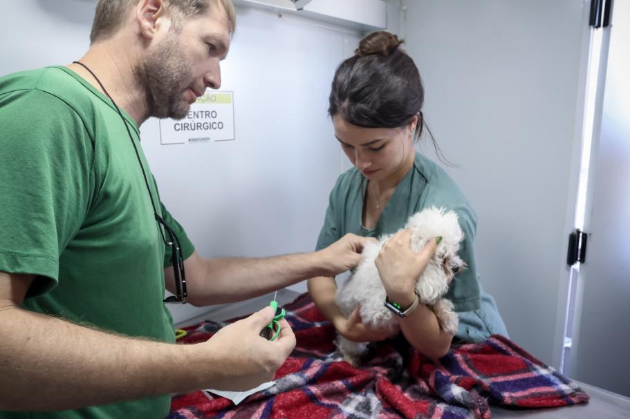 Rascunho automático