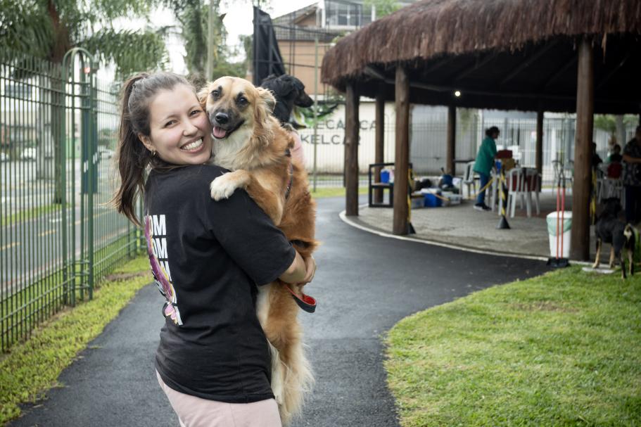 Rascunho automático