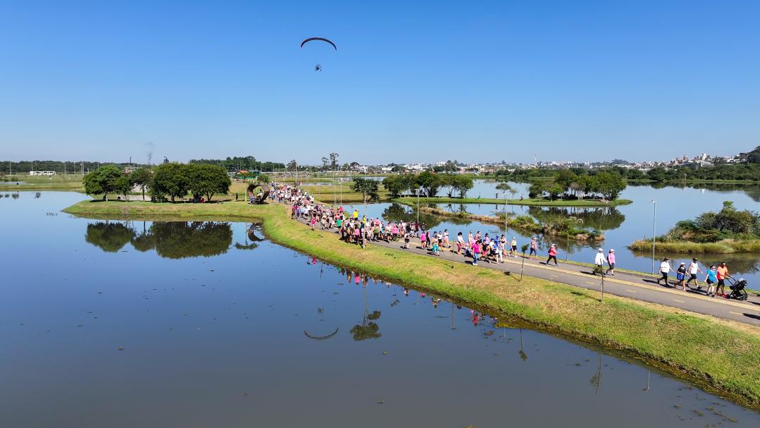 Rascunho automático