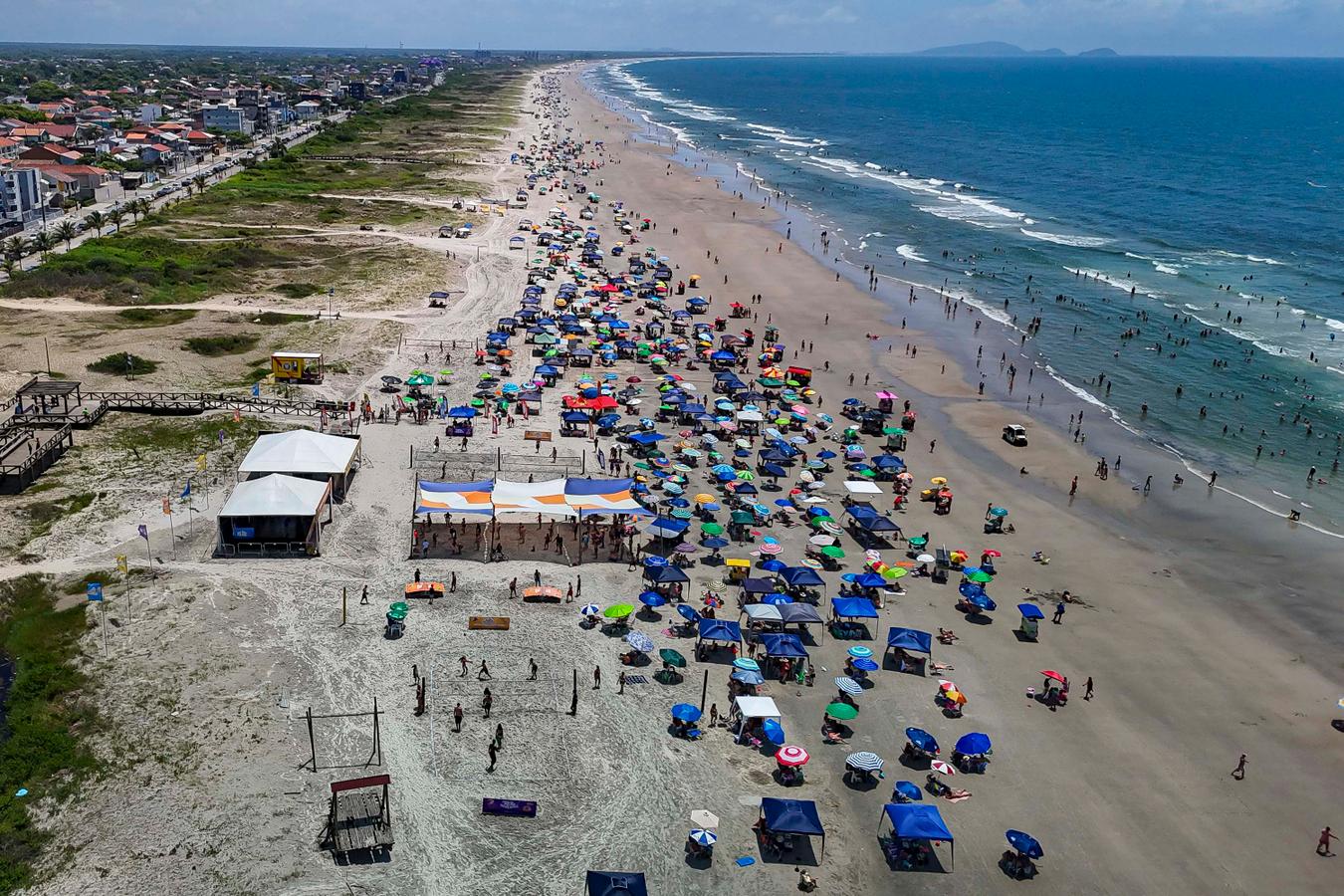 Saúde orienta para prevenir e o que fazer em acidentes com águas-vivas durante o Carnaval