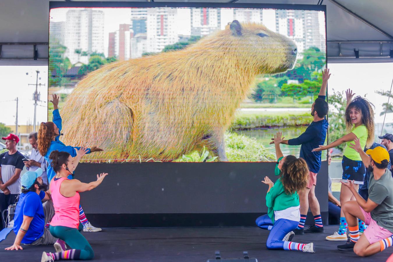 Um Aniversário no Picadeiro da Alegria conta a história de Curitiba para as crianças