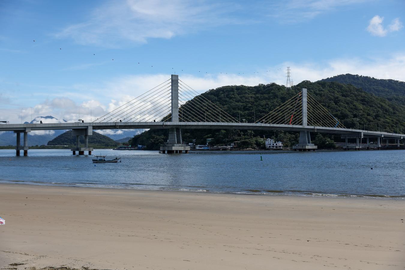 Rascunho automático