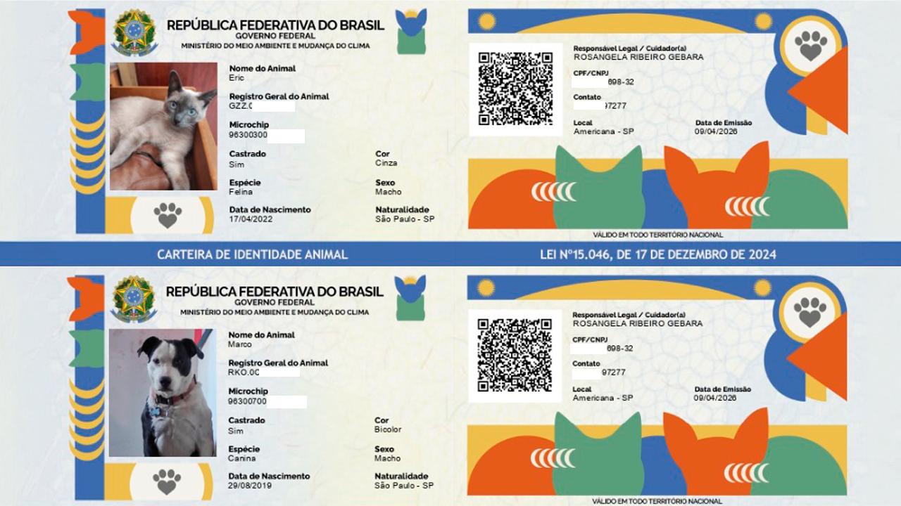 UFPR participa de ações de registro e cuidado de cães e gatos em parceria com o Governo Federal