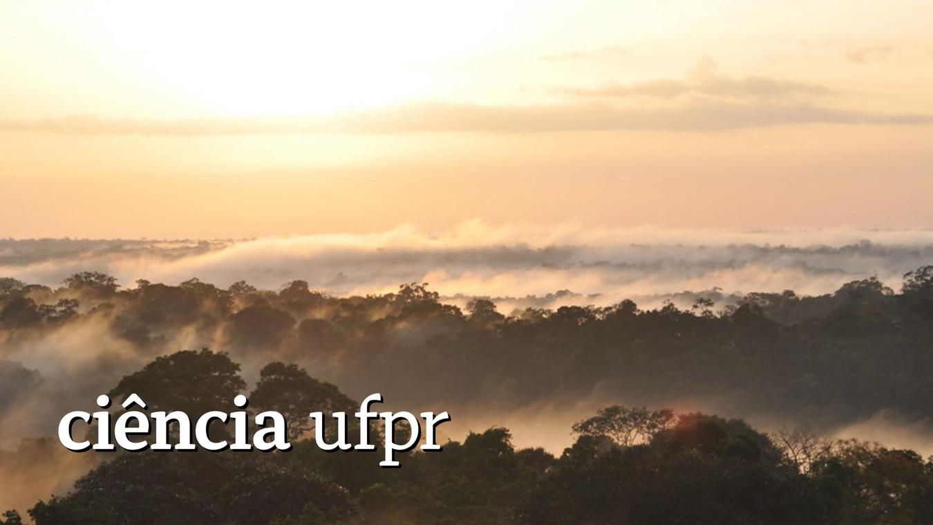 Ciência UFPR: Cientistas revelam papel ambiental da neblina da Floresta Amazônica 