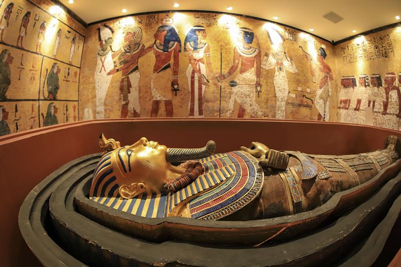 De estômago cabeludo a carro de Fórmula 1, Curitiba reúne curiosidades em museus