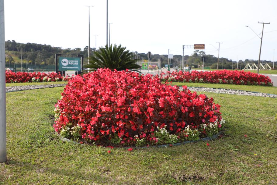 Mesmo no inverno, produção de flores no Horto e ações ambientais embelezam Pinhais