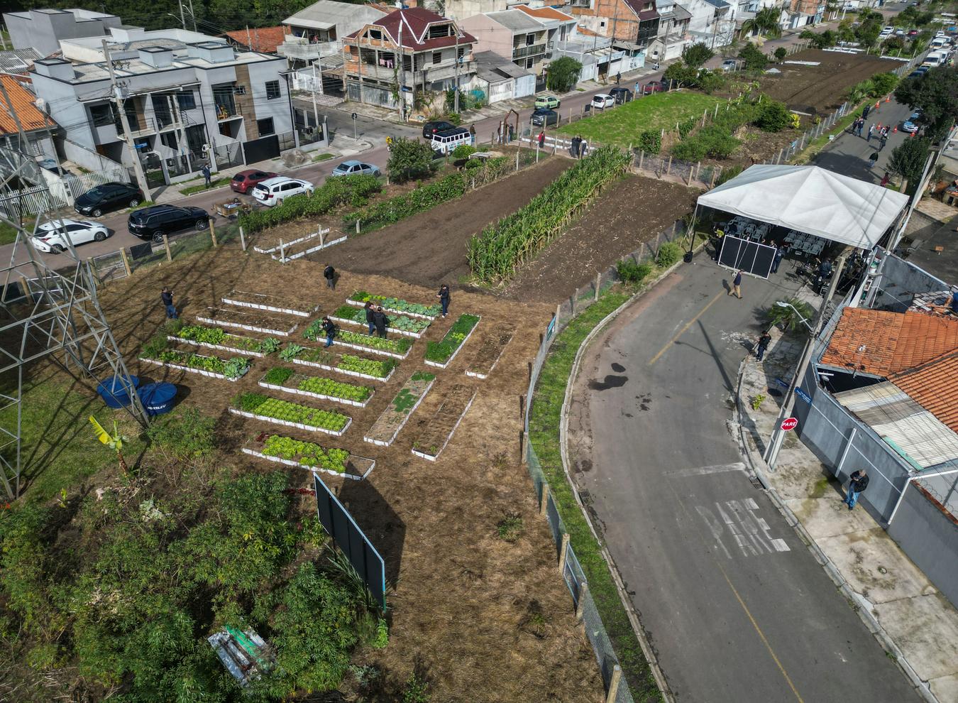 Prefeito Eduardo Pimentel lança Conexão Alimentar e inicia novo modelo de agricultura urbana em Curitiba