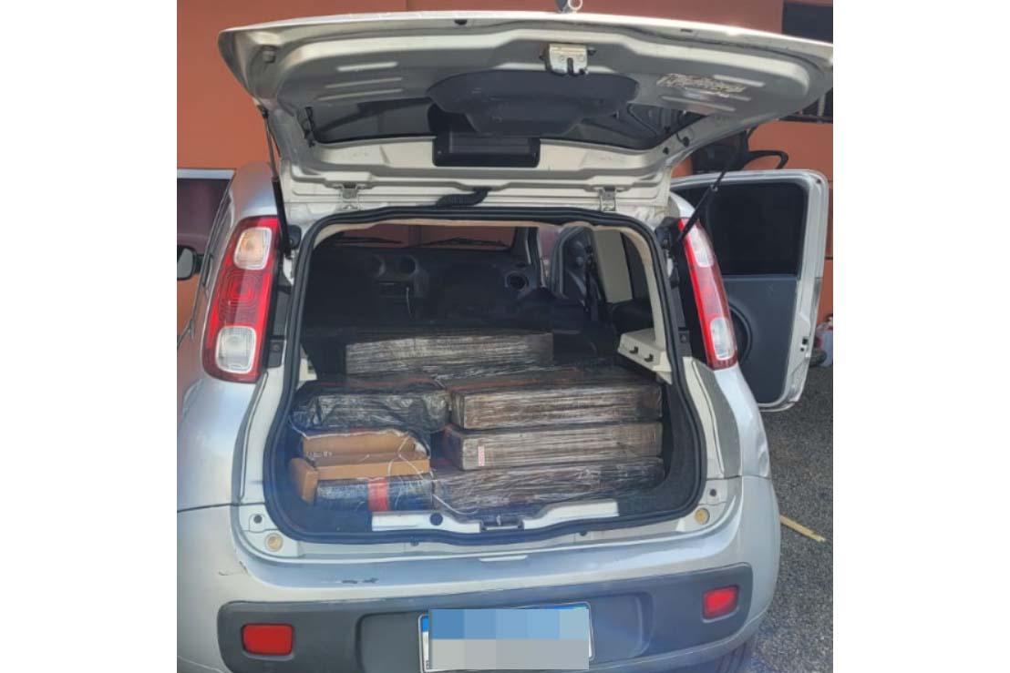Rascunho automático