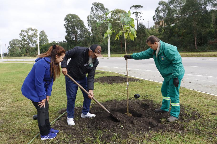Semana do Meio Ambiente tem plantio de árvores, distribuição de mudas e de adubo