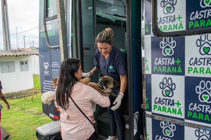 Castra+ Paraná abre agendamentos para nova etapa de castrações gratuitas em Piraquara