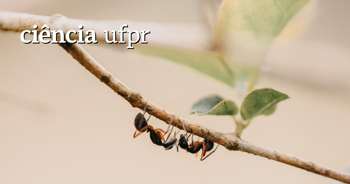 Ciência UFPR: Formigas inspiram IA e intrigam cientistas com inteligência coletiva